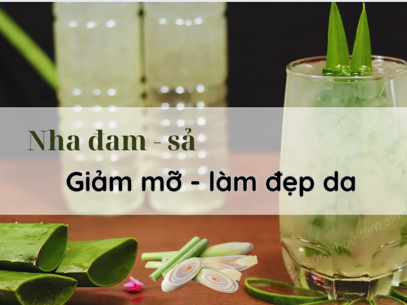 Tra-nha-dam-sa-giam-can