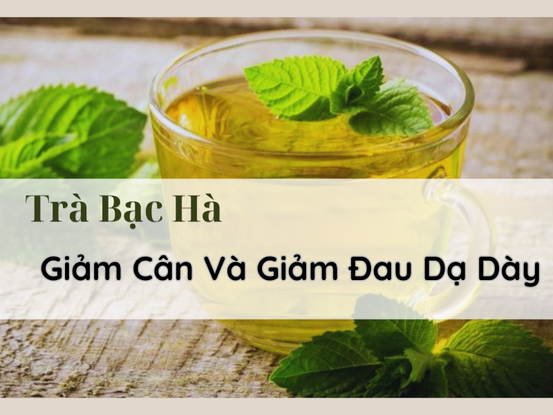 Tra-bao-ha-giam-can-va-giam-dau-bung