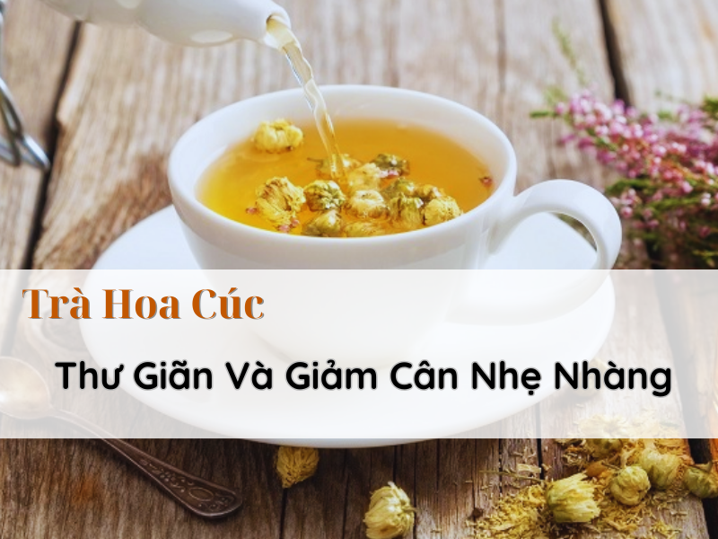 tra-hoa-cuc-giam-can