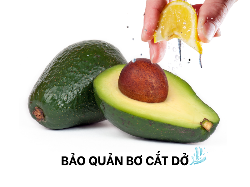 cach-bao-quan-bo-da-cat-khong-bi-tham-den