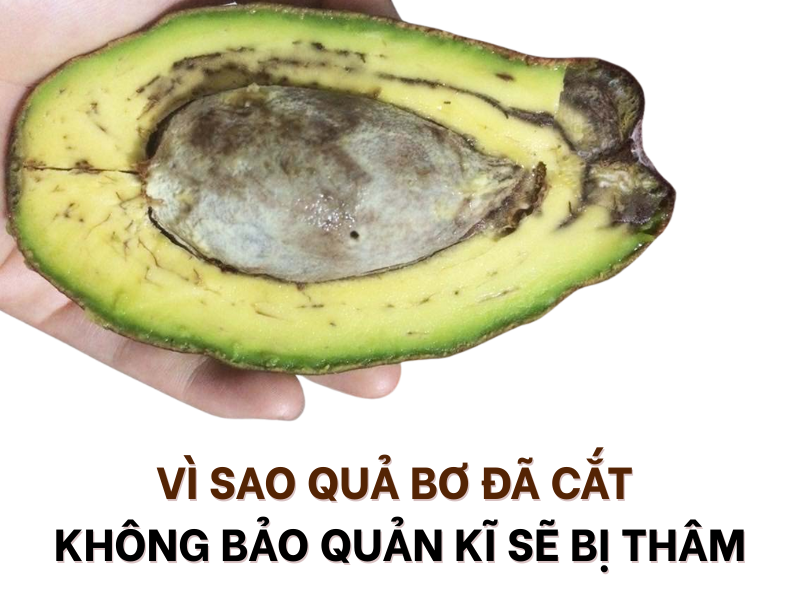 cach-bao-quan-bo-da-cat-khong-bi-tham-den