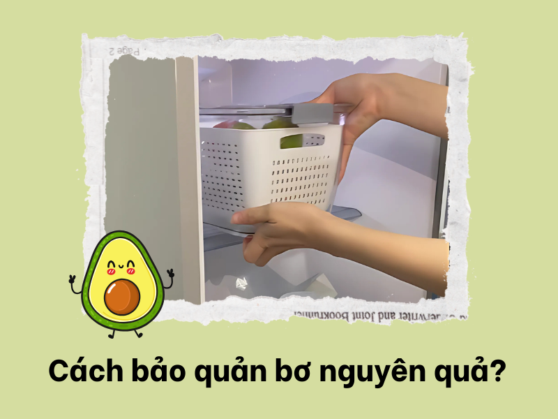 cach-bao-quan-bo-da-cat-khong-bi-tham-den