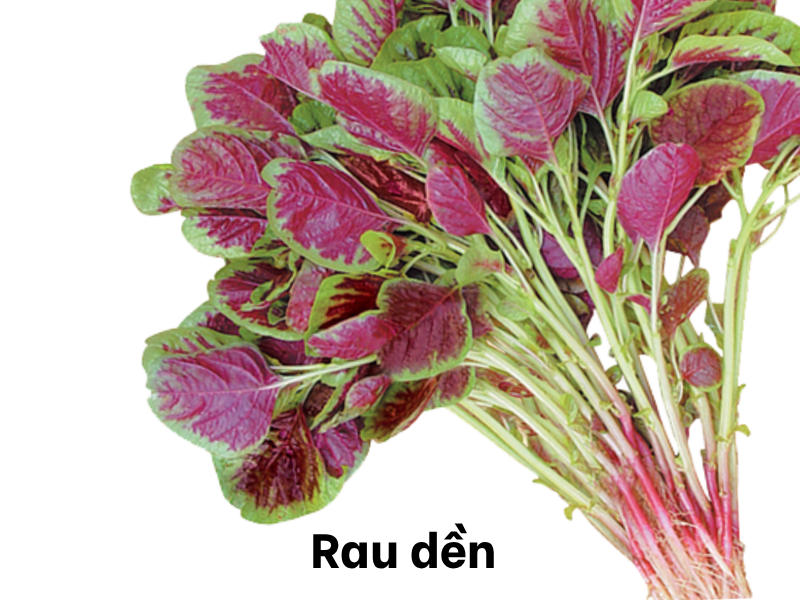 Mon-rau-nen-cho-tre-an-nhieu-vao-mua-he