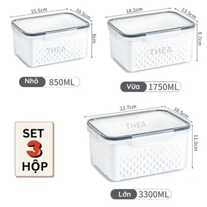Bộ 3 Hộp nhựa đựng thực phẩm, hộp bảo quản thực phẩm rau củ quả tủ lạnh 2 lớp có rổ thoát nước và nắp khóa – THEA