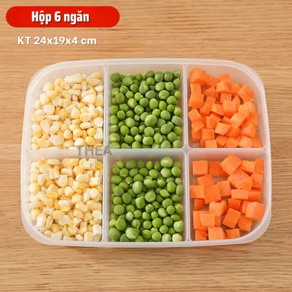 Hộp đựng thực phẩm, hộp nhựa bảo quản có nắp chia 4 ngăn đựng đồ ăn trữ đông tủ lạnh - THEA