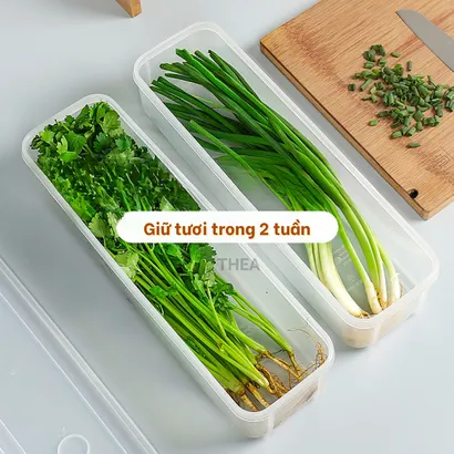 Hộp đựng thực phẩm, hộp nhựa bảo quản có nắp chia 4 ngăn đựng đồ ăn trữ đông tủ lạnh - THEA