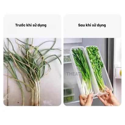 Hộp đựng thực phẩm, hộp nhựa bảo quản có nắp chia 4 ngăn đựng đồ ăn trữ đông tủ lạnh - THEA