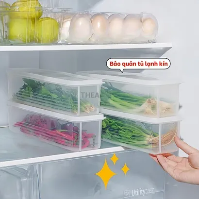Hộp đựng thực phẩm, hộp nhựa bảo quản có nắp chia 4 ngăn đựng đồ ăn trữ đông tủ lạnh - THEA