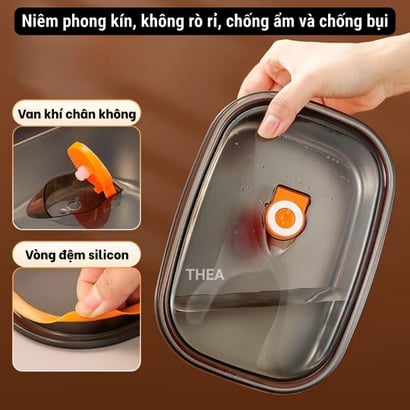 Hộp đựng cơm văn phòng inox 304 chia 2 ngăn, hộp inox 304 có nắp đậy , Hộp đựng thực phẩm thức ăn chia ngăn tiện lợi - THEA