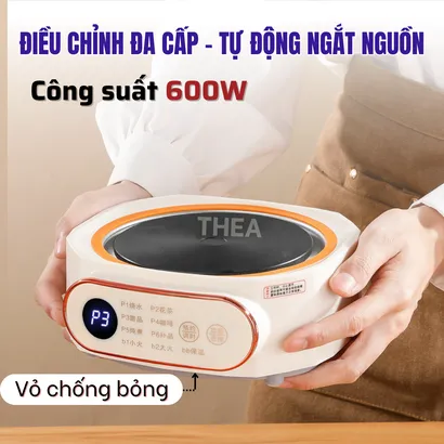 Bếp gốm điện mini cao cấp nấu đa năng pha trà, đun nước, chưng yến, giữ nhiệt, hẹn giờ, an toàn  - THEA