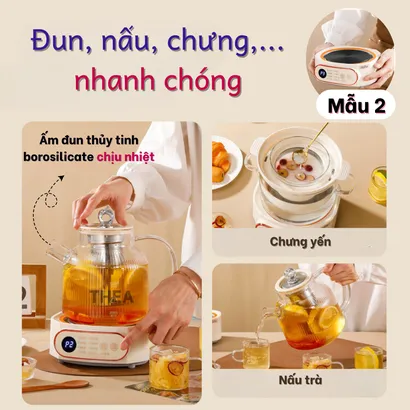 Bếp gốm điện mini cao cấp nấu đa năng pha trà, đun nước, chưng yến, giữ nhiệt, hẹn giờ, an toàn  - THEA