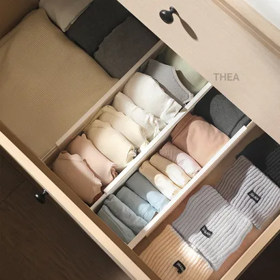 Tấm vách ngăn nhựa chia ngăn tủ bếp, tủ quần áo, hộc tủ, ngăn kéo, thanh ngăn chia tủ quần áo - THEA