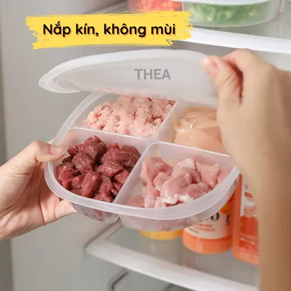 Hộp đựng thực phẩm, hộp nhựa bảo quản có nắp chia 4 ngăn đựng đồ ăn trữ đông tủ lạnh - THEA