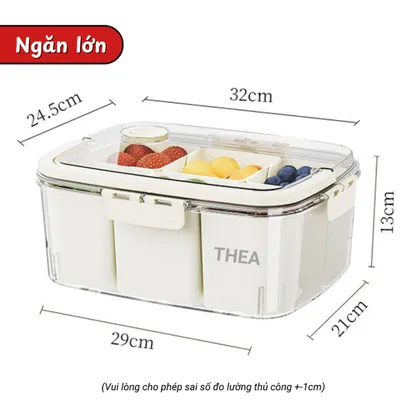 Hộp nhựa đựng trái cây chia ngăn tủ lạnh cao cấp, hộp bảo quản trái cây hoa quả trong suốt mang đi dã ngoại - THEA