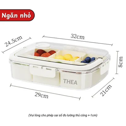 Hộp nhựa đựng trái cây chia ngăn tủ lạnh cao cấp, hộp bảo quản trái cây hoa quả trong suốt mang đi dã ngoại - THEA