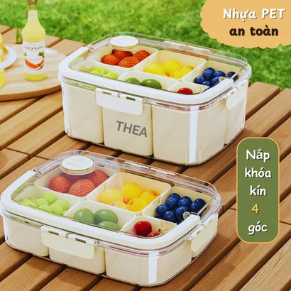Hộp nhựa đựng trái cây chia ngăn tủ lạnh cao cấp, hộp bảo quản trái cây hoa quả trong suốt mang đi dã ngoại - THEA