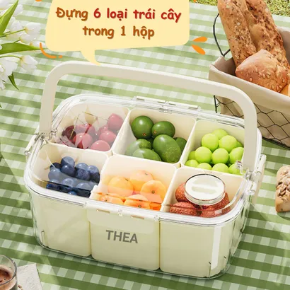 Hộp nhựa đựng trái cây chia ngăn tủ lạnh cao cấp, hộp bảo quản trái cây hoa quả trong suốt mang đi dã ngoại - THEA