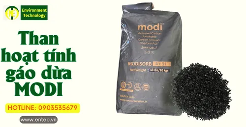 Chuyên cung cấp than gáo dừa Modi Ấn Độ CHẤT LƯỢNG tại TP.HCM