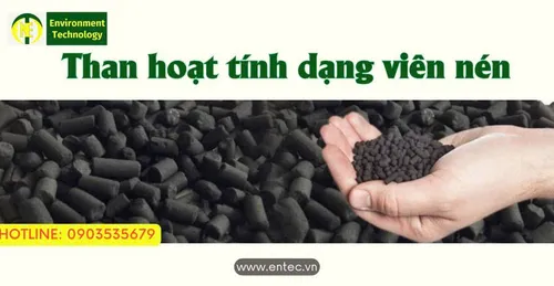 Than tre hoạt tính DẠNG VIÊN là gì? Cách dùng để LỌC NƯỚC, KHÔNG KHÍ hiệu quả