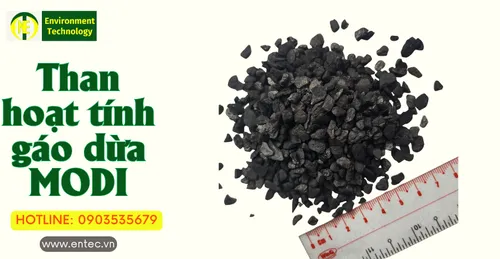 Ứng dụng LỌC NƯỚC của than hoạt tính gáo dừa MODI ẤN ĐỘ
