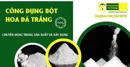 Công Dụng VƯỢT TRỘI Của Bột Hoa Đá Trắng – Khám Phá Ngay