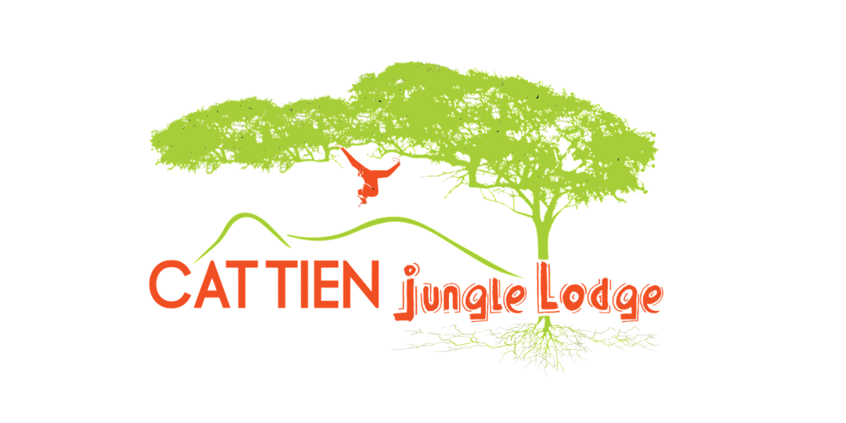 Cát Tiên Jungle Lodge