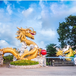 TẾT RỒNG ĐẾN BỬU LONG, CHO VẠN ĐIỀU HANH THÔNG ️️🎉️🎉️🎉