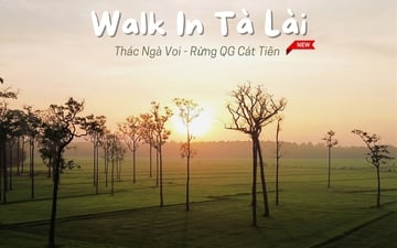 🌲 WALK IN TÀ LÀI – HÀNH TRÌNH KHÁM PHÁ THIÊN NHIÊN & VĂN HÓA 🌲