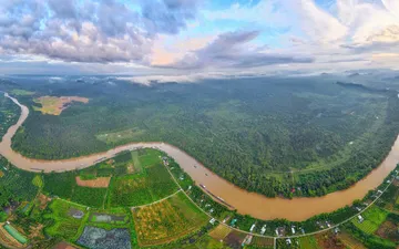 “Thả bước” giữa đại ngàn Cát Tiên – chạm vào nhịp thở của thiên nhiên