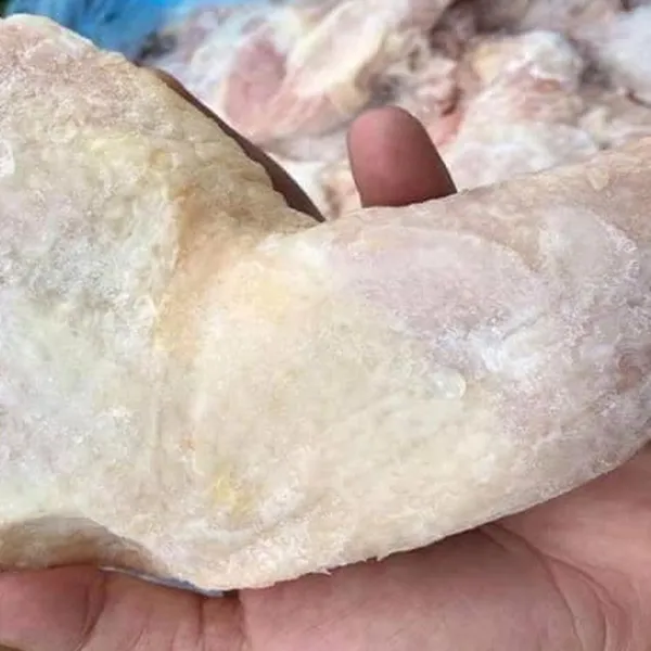 Đùi gà