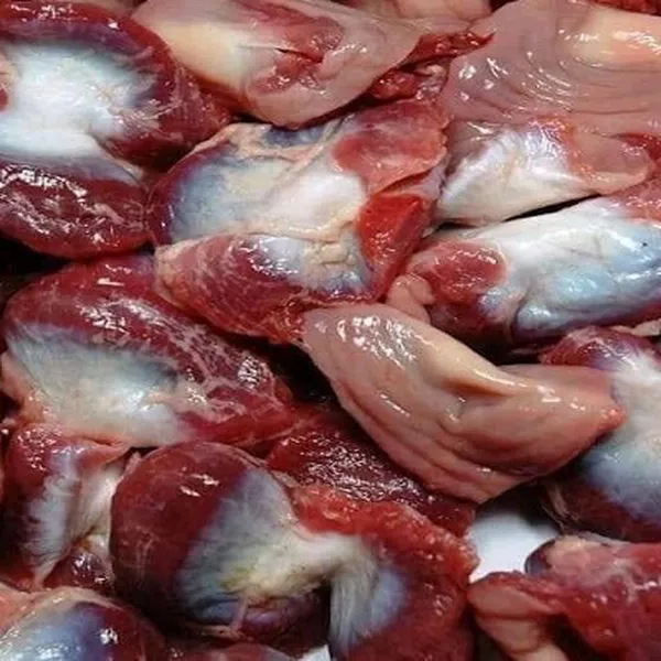 Mề gà