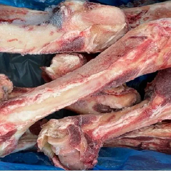 Xương ống bò