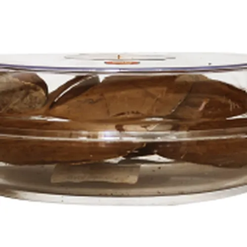 Nấm Linh Chi 50g nguyên tai