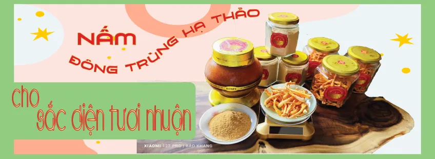 NẤM ĐÔNG TRÙNG HẠ THẢO
