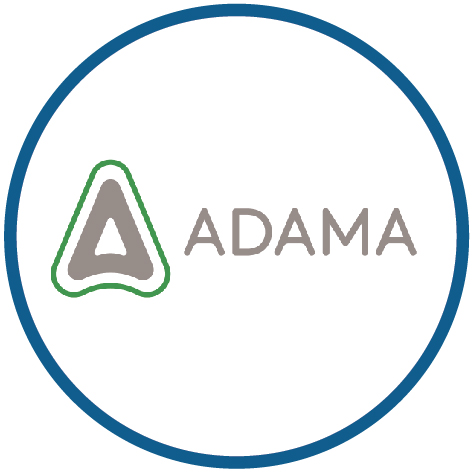 Đinh Ngọc Thảo My