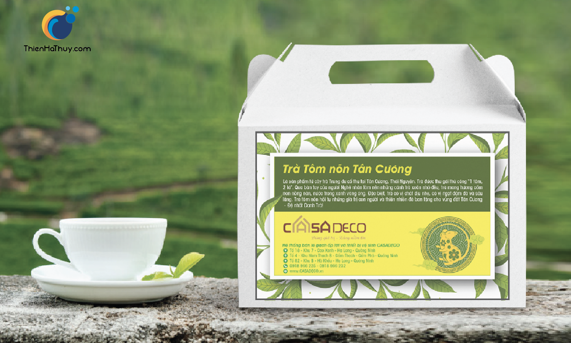 Thiết kế bao bì sản phẩm hộp trà Thiết kế bao bì sản phẩm hộp trà