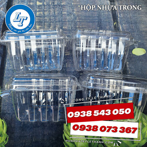 hộp nhựa đựng trái cây giá sỉ 200g, 500g, 1kg 4 hộp nhựa đựng trái cây giá sỉ 200g, 500g, 1kg 4
