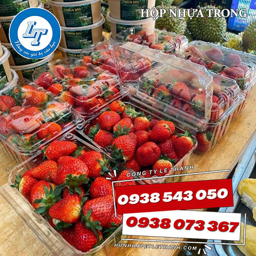 hộp nhựa đựng trái cây giá sỉ 200g, 500g, 1kg 3 hộp nhựa đựng trái cây giá sỉ 200g, 500g, 1kg 3