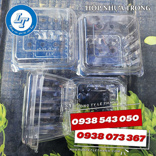 hộp nhựa đựng trái cây giá sỉ 200g, 500g, 1kg 2 hộp nhựa đựng trái cây giá sỉ 200g, 500g, 1kg 2