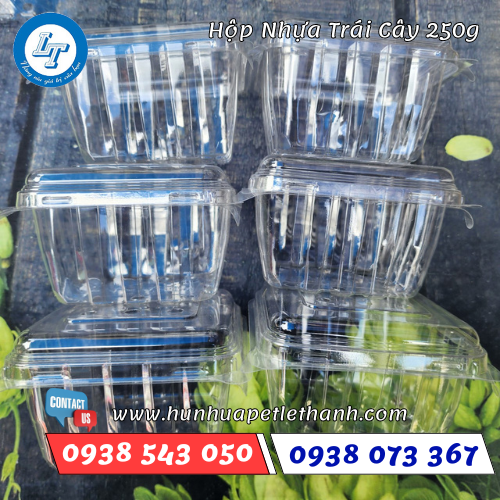 hộp nhựa trong đựng trái cây 250g 2 hộp nhựa trong đựng trái cây 250g 2