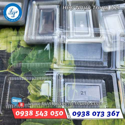 hộp nhựa trong H21 1 hộp nhựa trong H21 1
