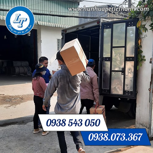 cần mua chai nhựa dẹp vai bầu giá sỉ cần mua chai nhựa dẹp vai bầu giá sỉ