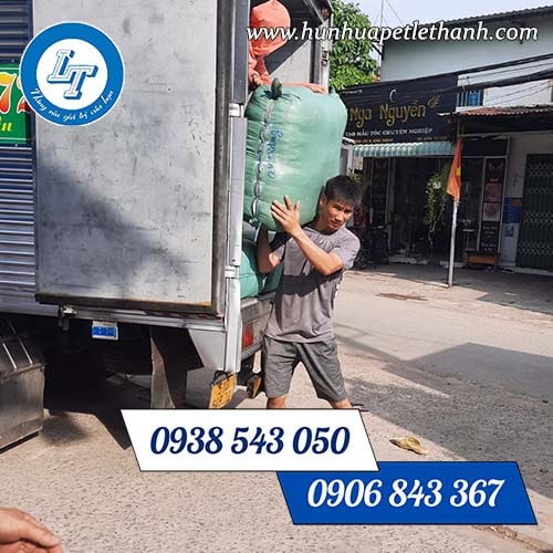 gói hút ẩm giá sỉ giao tận nơi gói hút ẩm giá sỉ giao tận nơi