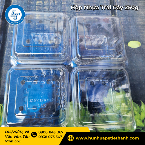 kho hàng sẵn có hộp đựng trái cây 250g giá sỉ 5 kho hàng sẵn có hộp đựng trái cây 250g giá sỉ 5