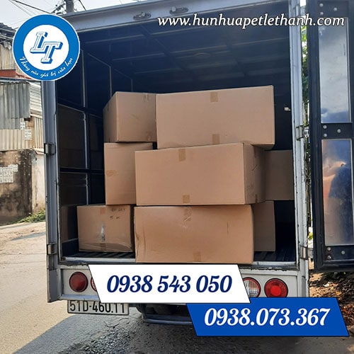 mua hũ nhựa pet nắp vặn giá tốt uy tín mua hũ nhựa pet nắp vặn giá tốt uy tín