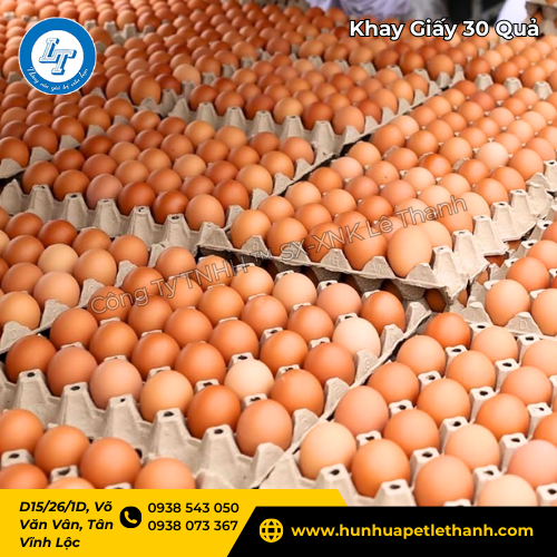 khay giấy 30 quả giá sỉ rẻ cho người mua số lượng lớn 1 khay giấy 30 quả giá sỉ rẻ cho người mua số lượng lớn 1