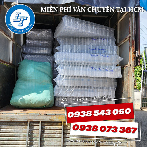 ly rau câu Bông Mai giá sỉ, giá buôn rẻ ly rau câu Bông Mai giá sỉ, giá buôn rẻ