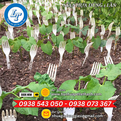 cung ứng nĩa nhựa giá siêu sỉ rẻ 4 cung ứng nĩa nhựa giá siêu sỉ rẻ 4