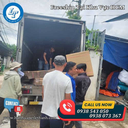 đại lý sỉ ống hút thẳng phi 6 nhiều màu giá gốc đại lý sỉ ống hút thẳng phi 6 nhiều màu giá gốc