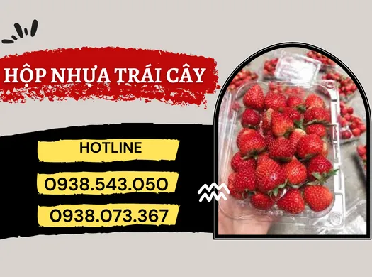 HỘP NHỰA PET giá sỉ đựng trái cây